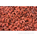 Authentic ningxia goji berry